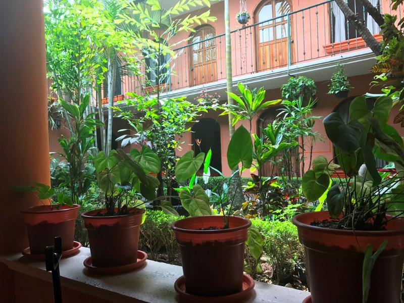Hotel Posada San Jeronimo Coatepec  Bagian luar foto
