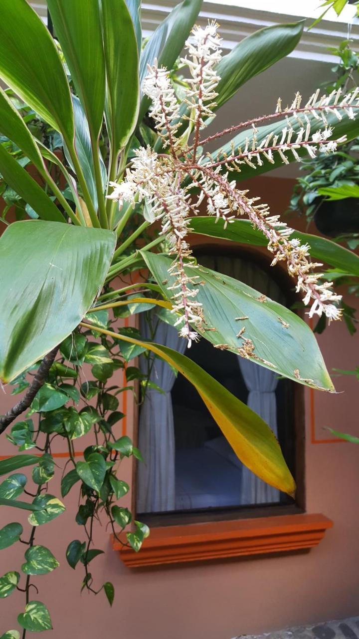 Hotel Posada San Jeronimo Coatepec  Bagian luar foto